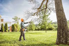 Best Commercial Tree Services  in Greenbriar, FL