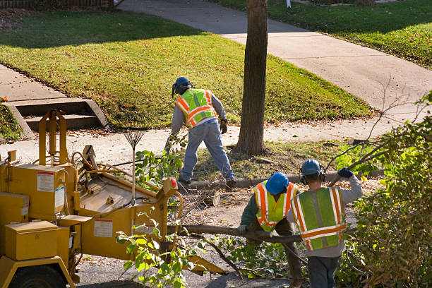 Best Lawn Grading and Leveling  in Greenbriar, FL